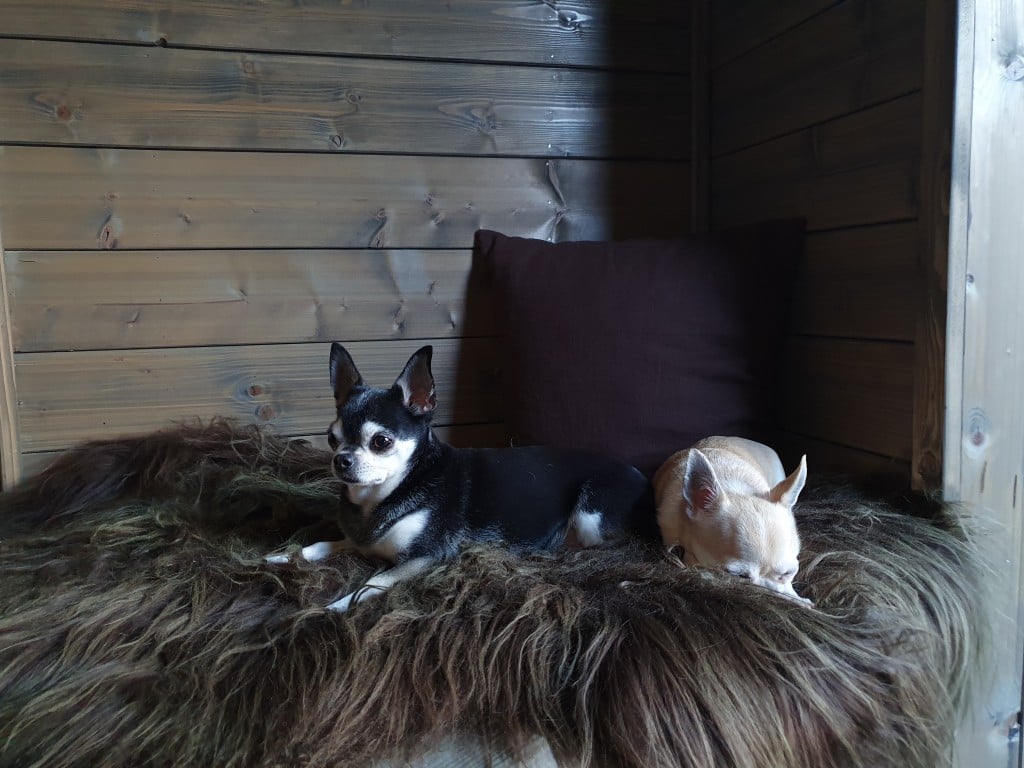 Järvisydän maisemasviitti