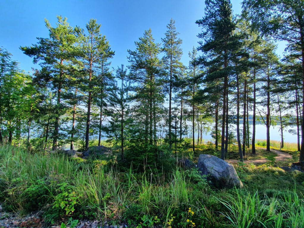Rönnäs Seaside Resort 